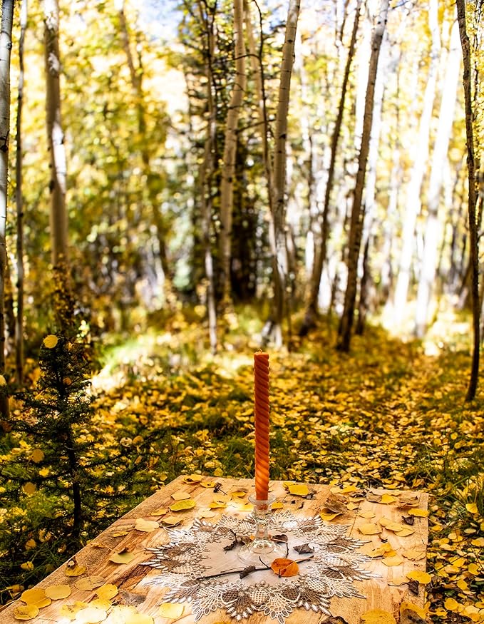 Lace Doily Neutral Earth Tones Table Topper Scarf Place Mat Round Doily (16 inch Round)