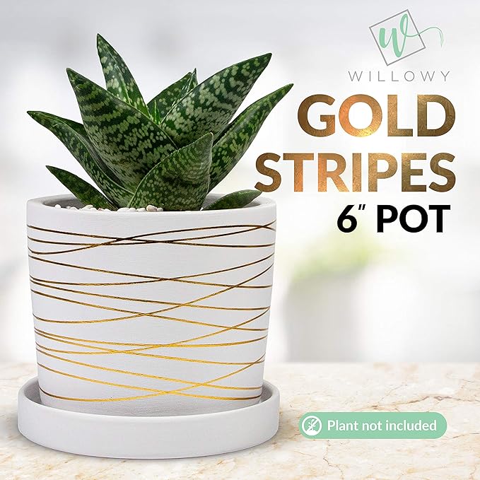Willowy White and Metallic Gold Pot Bundle - 6 Inch and 4.5 Inch pots - Includes Saucers, Drainage Plugs, and Decorative Pebbles