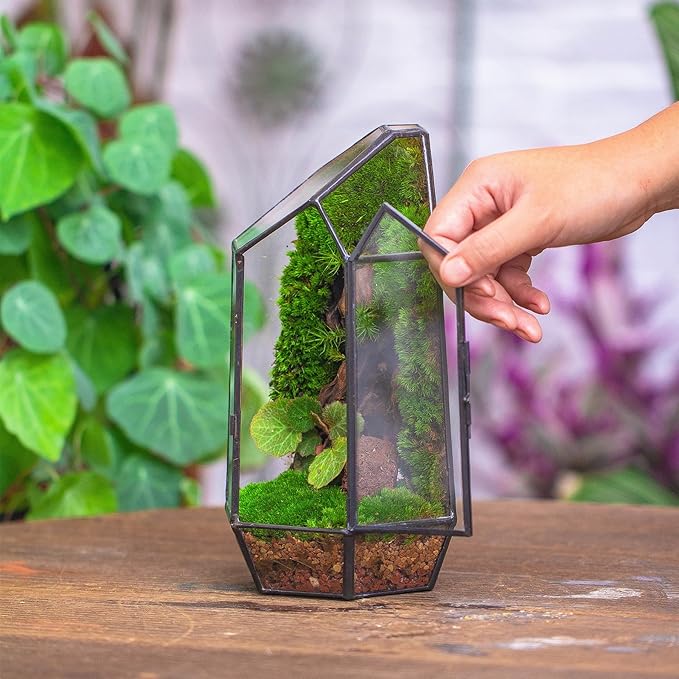 NCYP Small 5.1" x 5.1" x 8.66" Irregular Geometric Glass Terrarium Planter with Door - Home Tabletop Display Container Pot for Succulents, Cacti - Indoor Clear Decor, Black (No Plants)