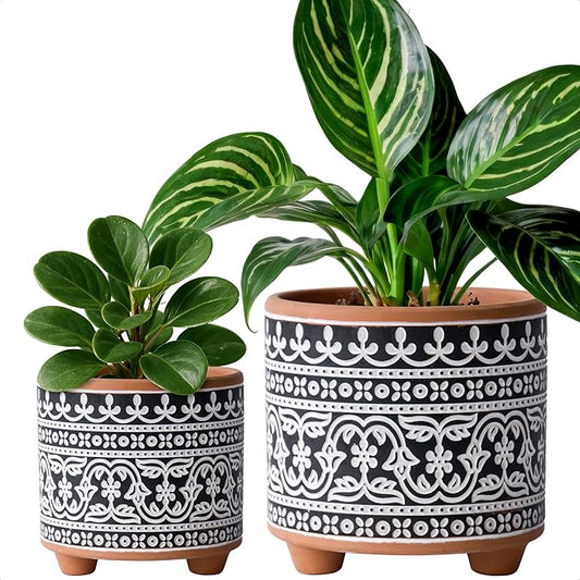 D'vine Dev Set of 2 Terracotta Planter Pots, 4 Inch & 6 Inch, Design Plants Pot with Drainage Hole, Midnight Lace, Terracotta/Black, 31-953-F-2