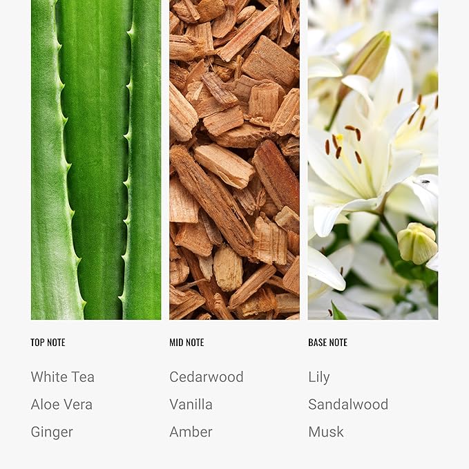 Hotel Collection Essential Scent Oil - Scent Includes White Tea, Cedarwood & Amber - Aromatic Oils for a Room Diffuser & Air Freshener - Aromatherapy Fragrance for Home - Dream On, 16.9 fl oz