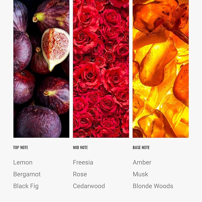 Aroma360 Hotel Collection Diffuser Oil-Black Velvet-Aromatherapy Essential Fragrance Oil-Zesty Citrus, Juicy Black Fig& Floral Rose-120ML 4.1 Fl oz