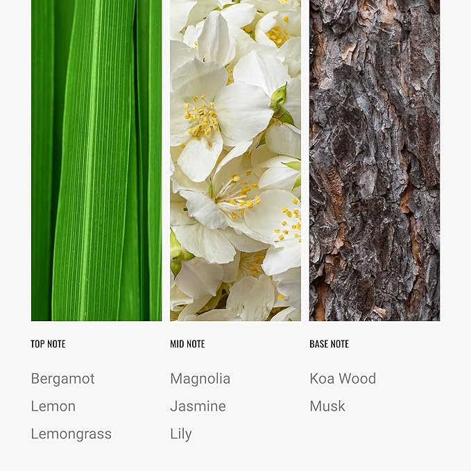 Hotel Collection - 24K Magic Essential Oil Scent - Luxury Hotel Inspired Aromatherapy Scent Diffuser Oil - Hints of Zesty Citrus, Floral Jasmine, & Delicate Lily - for Essential Oil Diffusers - 500mL