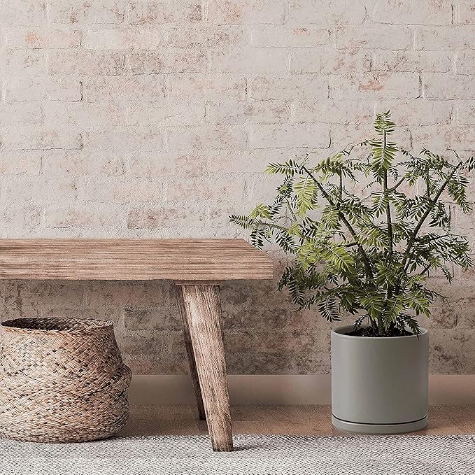 D'vine Dev 8 Inch Ceramic Planter Pot with Drainage Hole and Saucer, Indoor Cylinder Round Planter Pot, Grey, 94-O-D-3